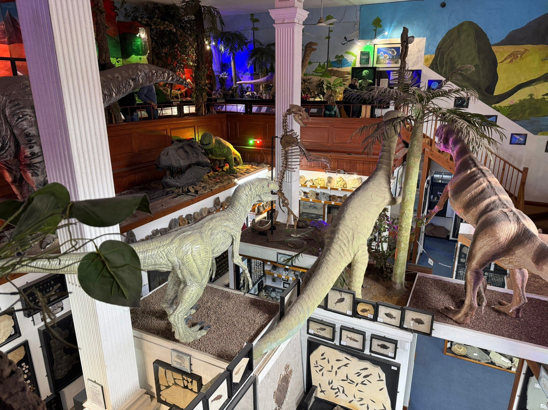 Dinosaurland Fossil Museum景点图片