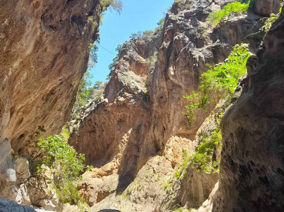 Experience Crete-Sitia必去景点