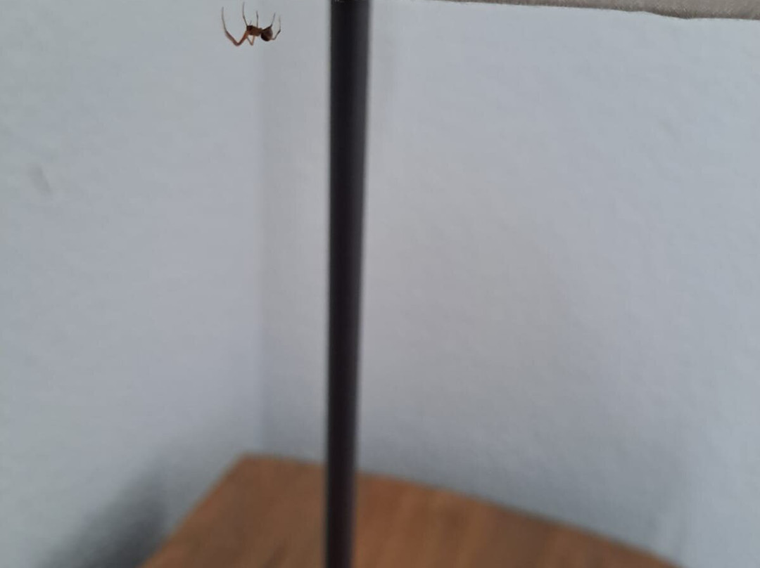 Hotel du Moulin主图