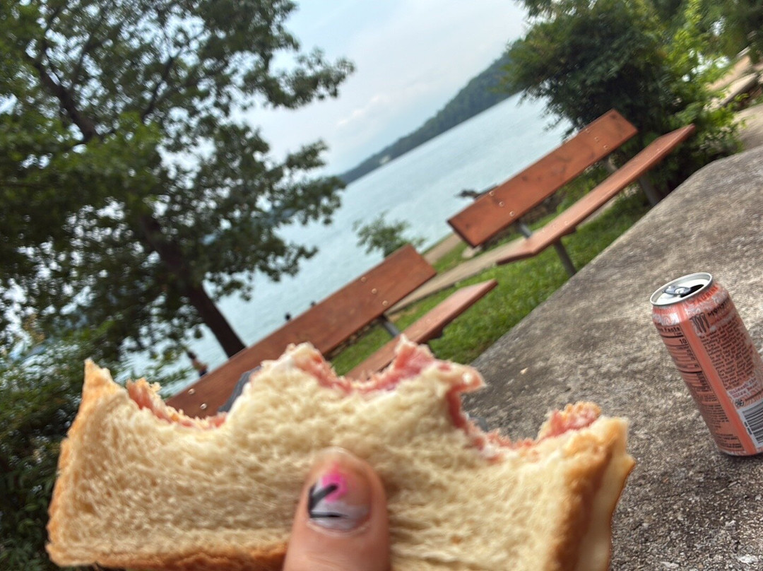 Douglas Headwater Public Swimming Beach-塞维尔维尔必去景点