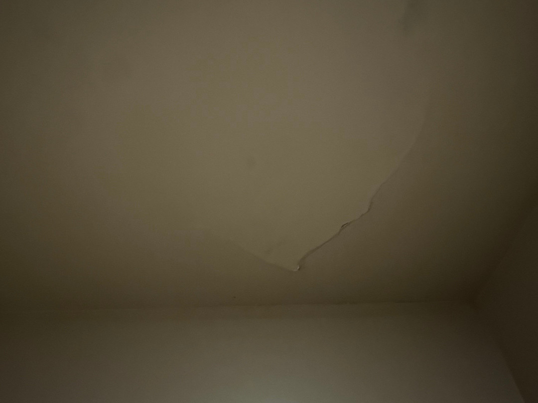 Baymont by Wyndham Glenview主图