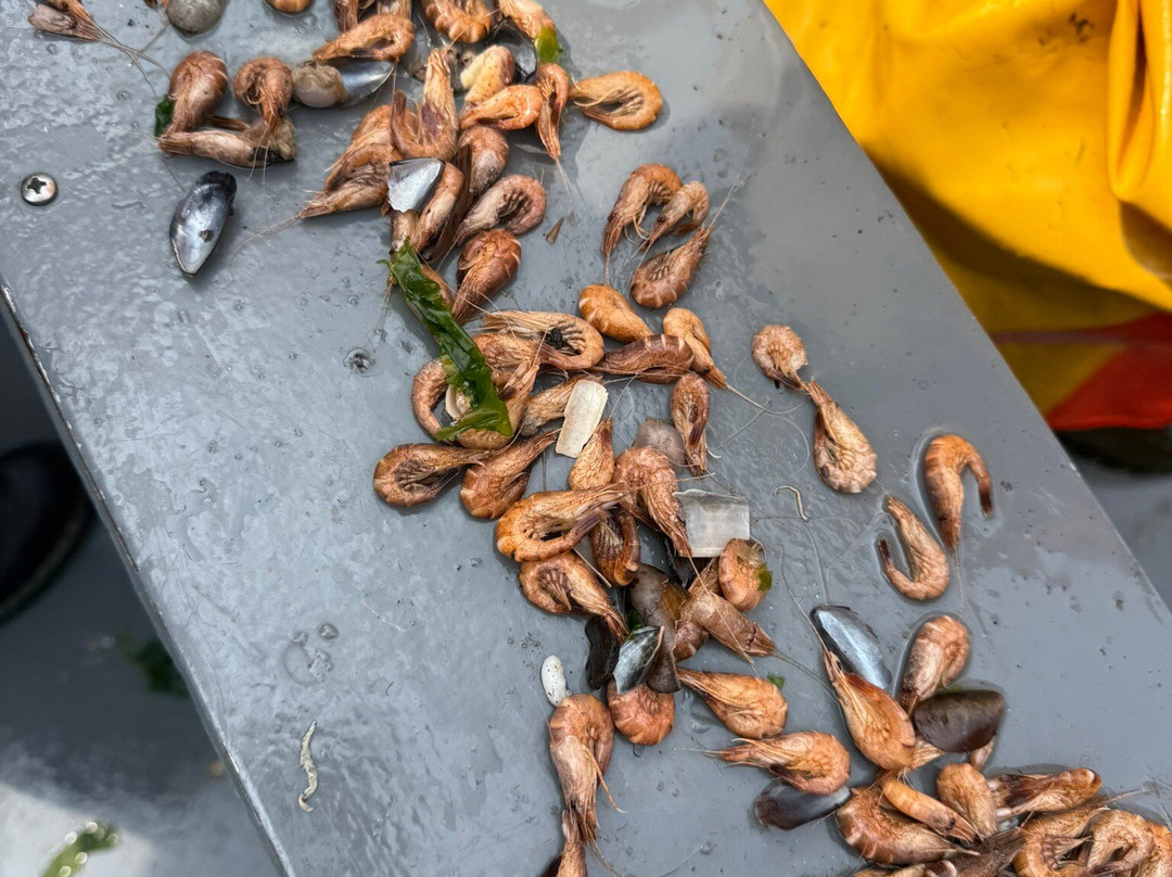 Het Wad op -TX10 & TX20-Oudeschild必去景点