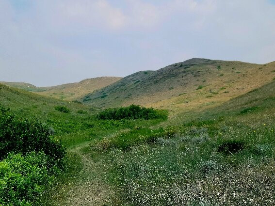 Saskatchewan Landing Provincial Park-Stewart Valley必去景点