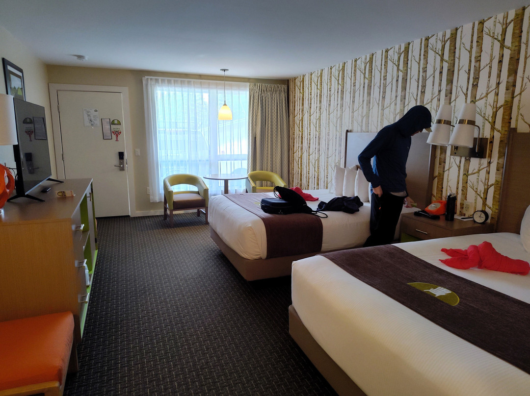 Bar Harbor Motel主图