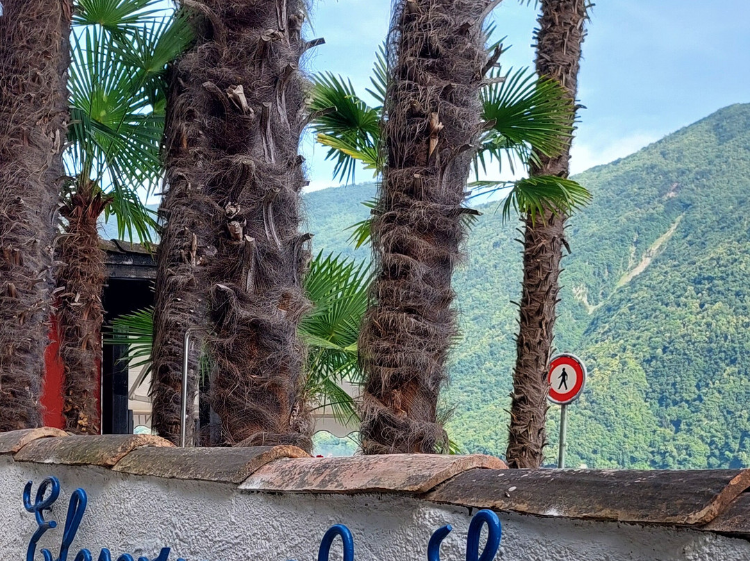 Hotel Elvezia al Lago主图