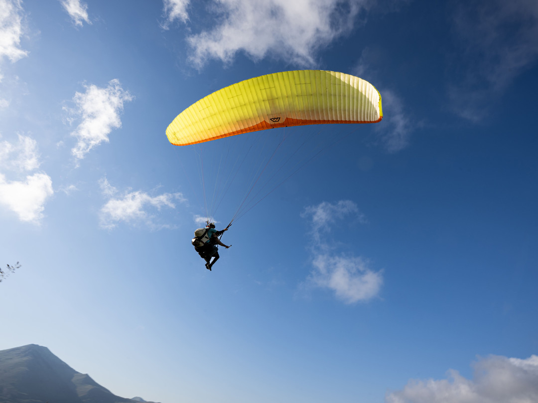 Parapendio in Tandem-巴勒莫必去景点