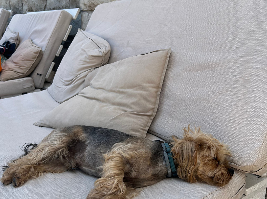 Skiper - Exclusive Boat Tours-苏佩塔尔必去景点