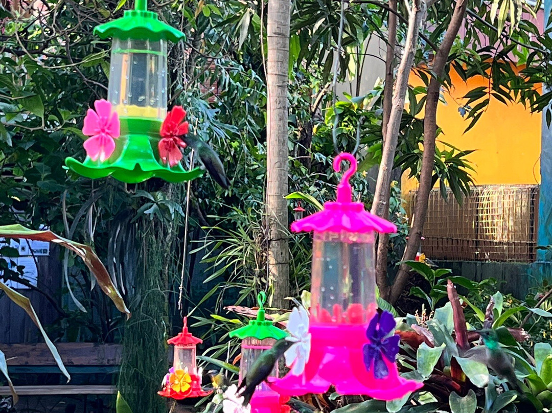 Jardin de los Picaflores-伊瓜苏港必去景点