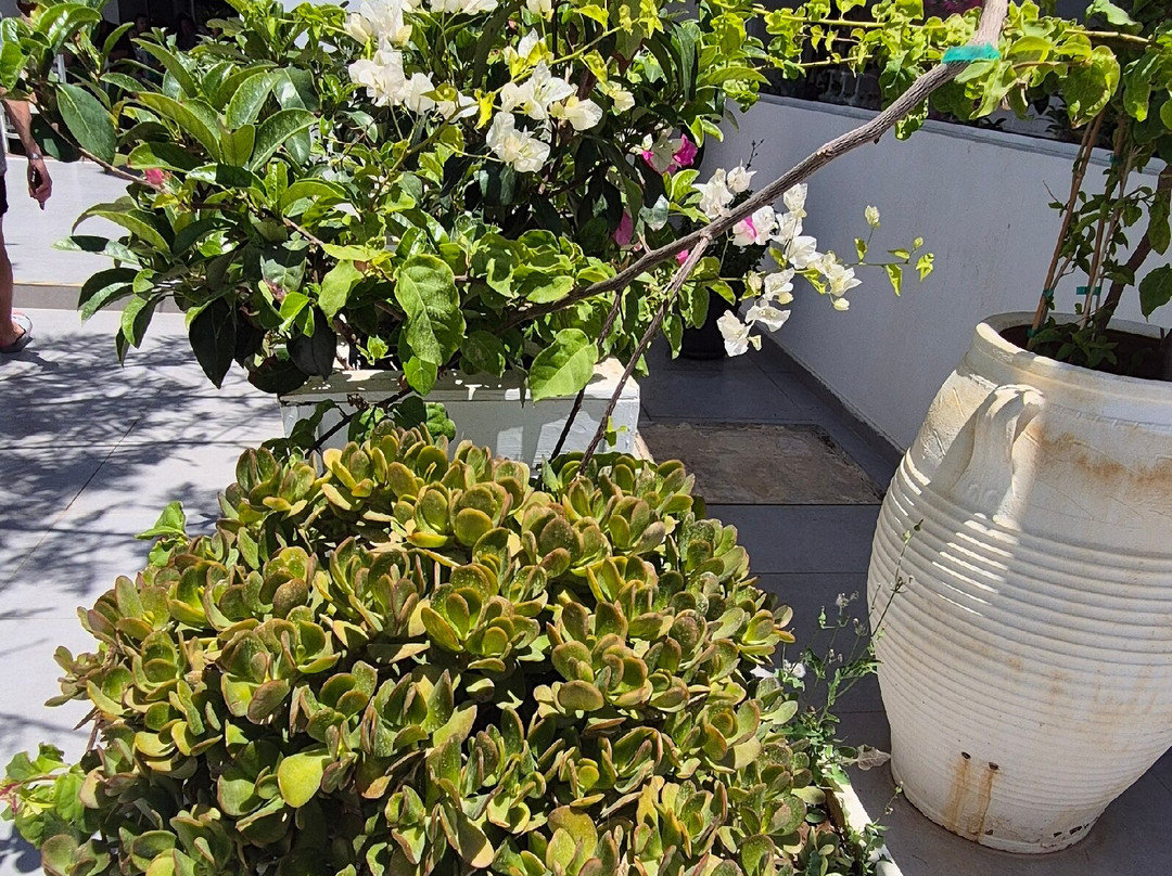 Krini Beach Hotel主图