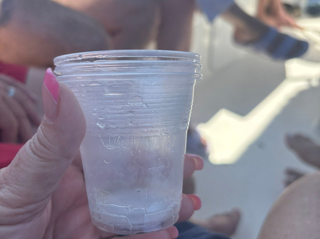 Dorino Gite in Barca-波利尼亚诺阿马雷必去景点