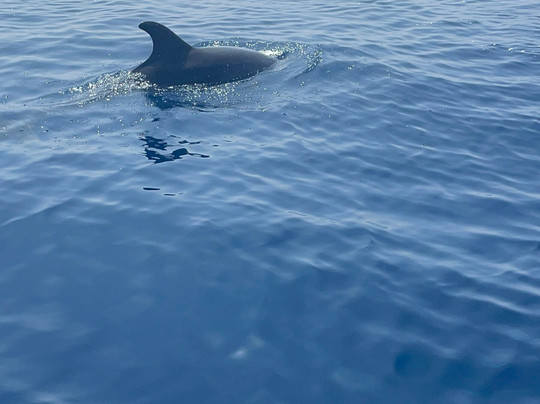 Fastpass-班纳玛德纳必去景点