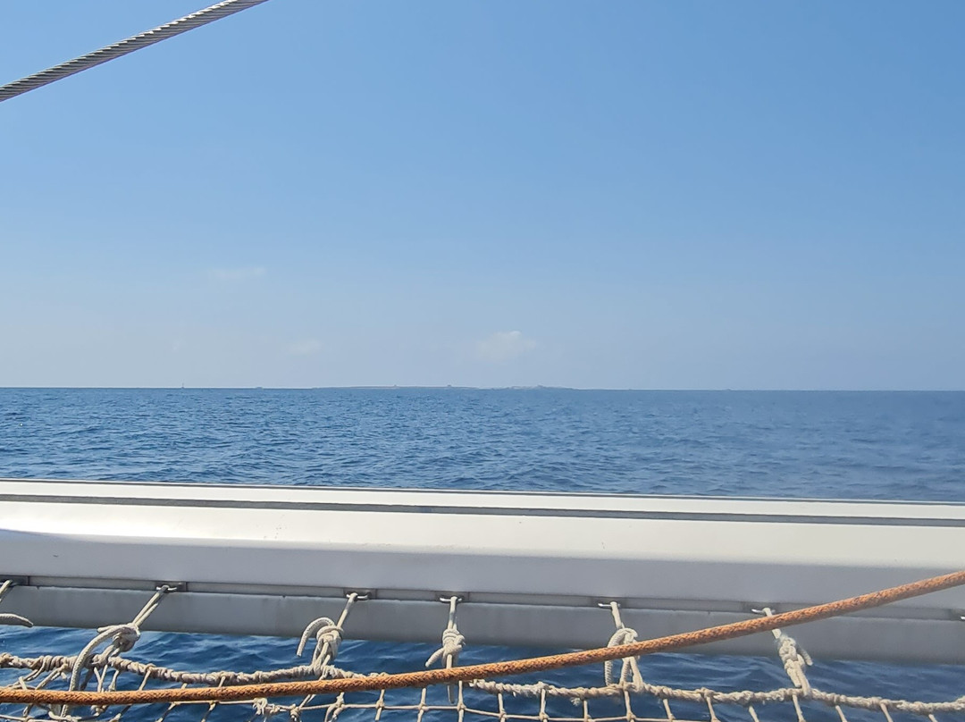 Alicante Catamaran-阿利坎特省必去景点