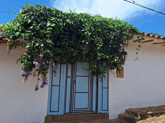 Wolf Tours Colombia-巴里查拉必去景点