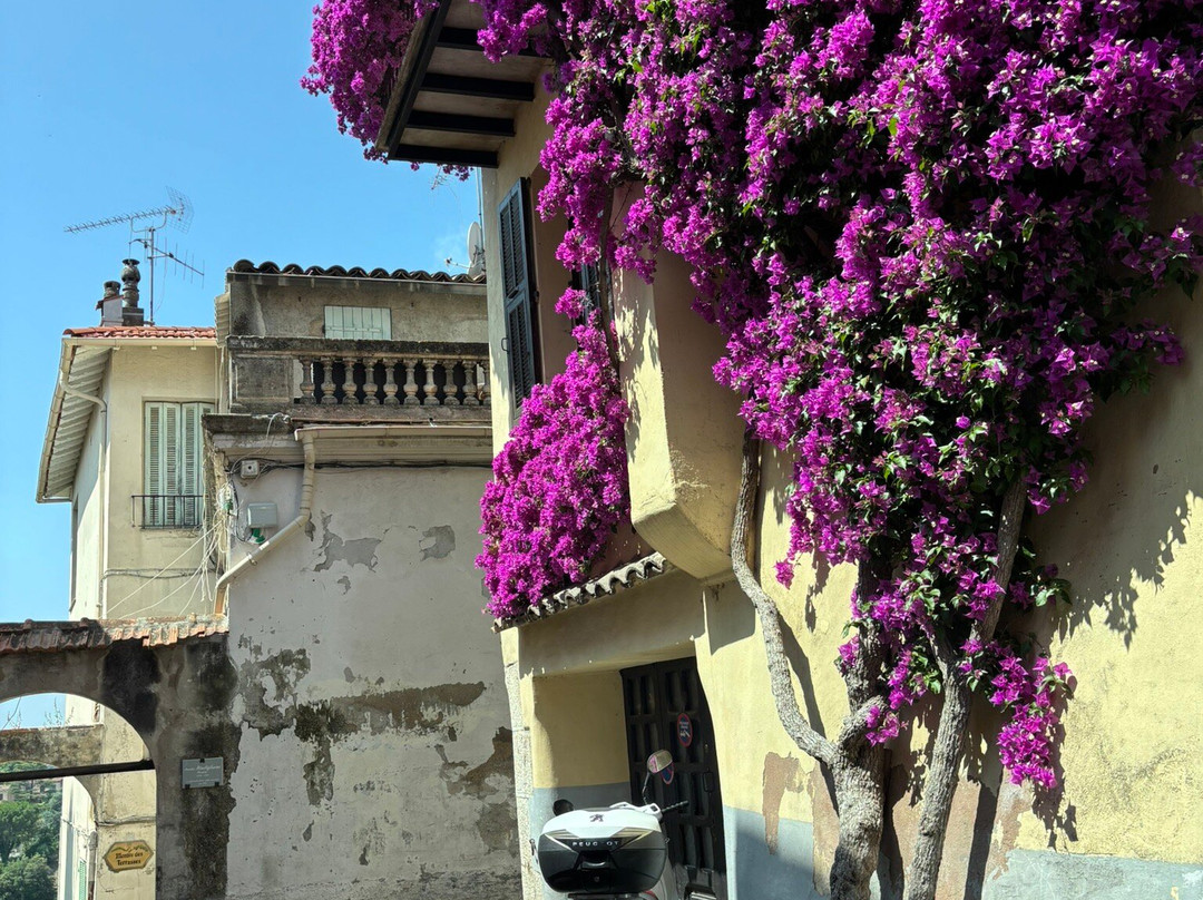 French Riviera Guides-尼斯必去景点