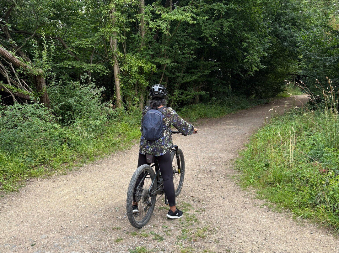 Discover Bikes-南塞尔尼必去景点