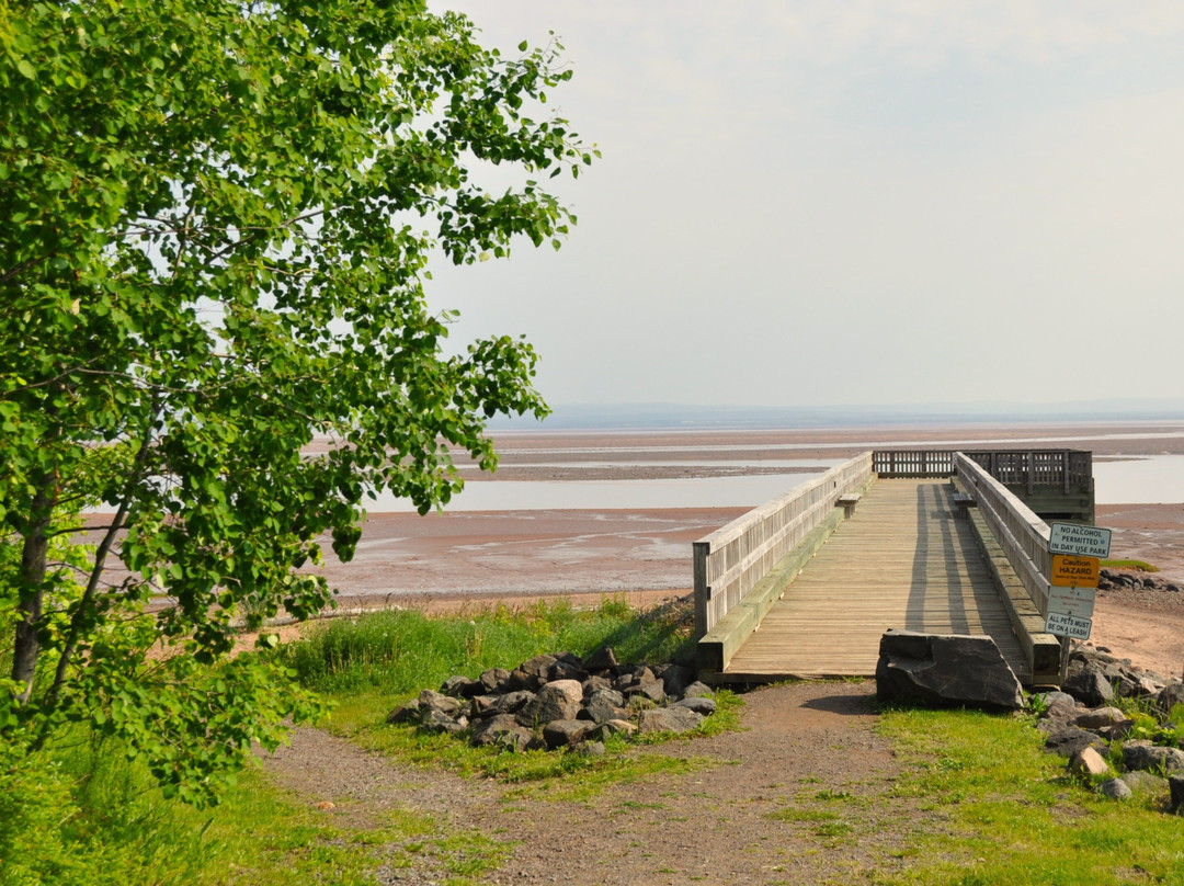 ShoreGirl Adventures