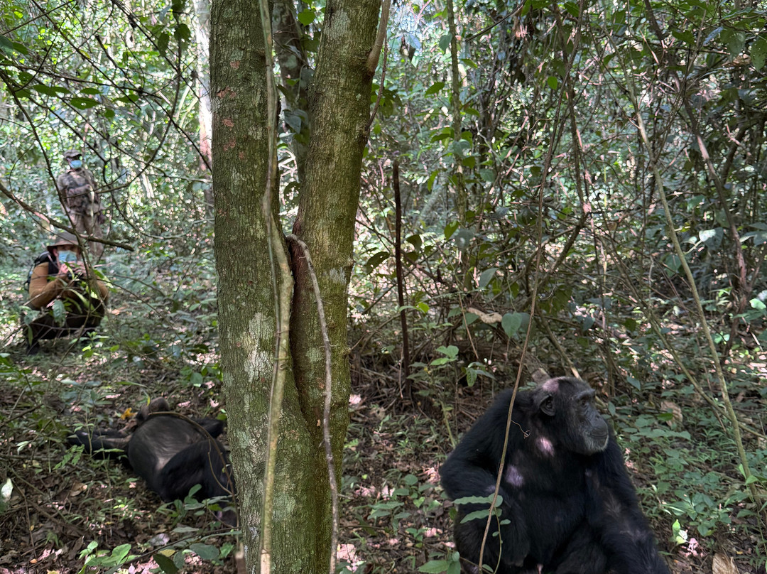 Insight Safari Holidays-Kanungu必去景点