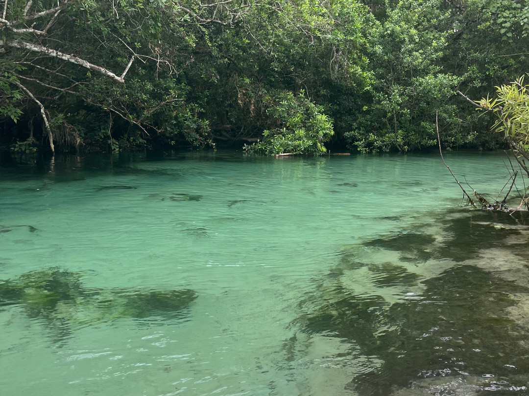 SUP Weeki (Stand Up Paddleboard)-Weeki Wachee必去景点