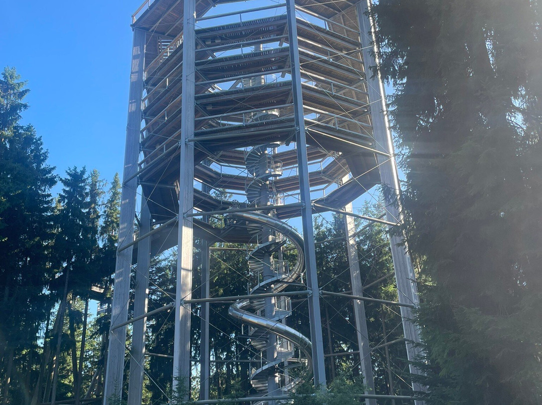 Treetop Walkway-利诺纳佛塔沃必去景点