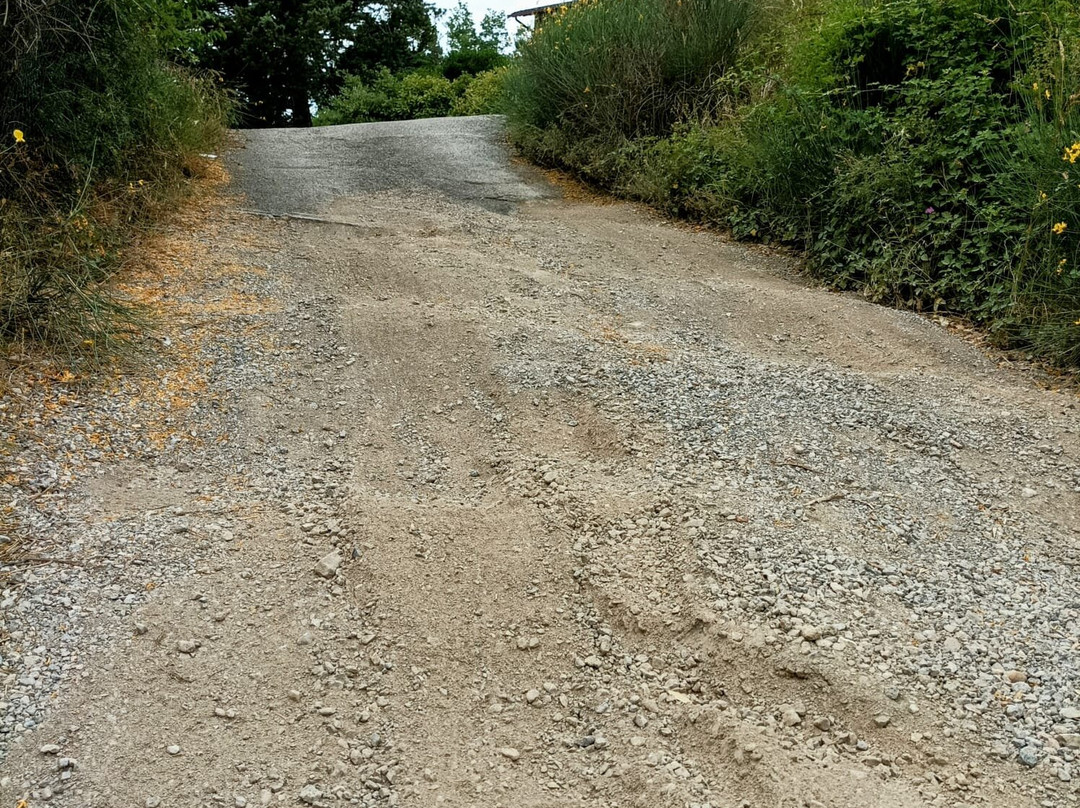 Agriturismo il Poggio degli Scoiattoli主图