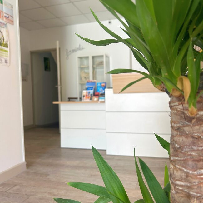 Hotel Le Carnon主图