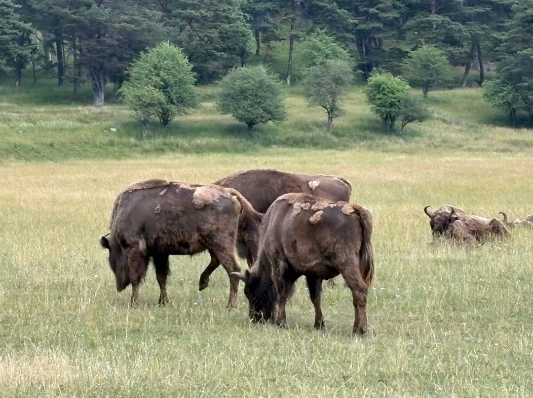 Reserve Biologique des Monts d'Azur-Thorenc必去景点