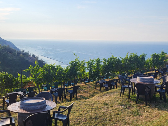 Fattoria Mancini-佩萨罗必去景点