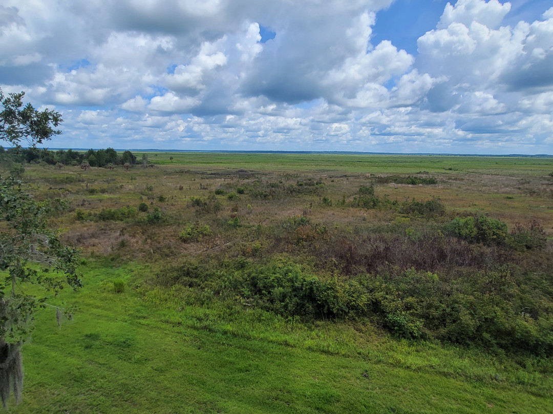Paynes Prairie Preserve State Park-Micanopy必去景点