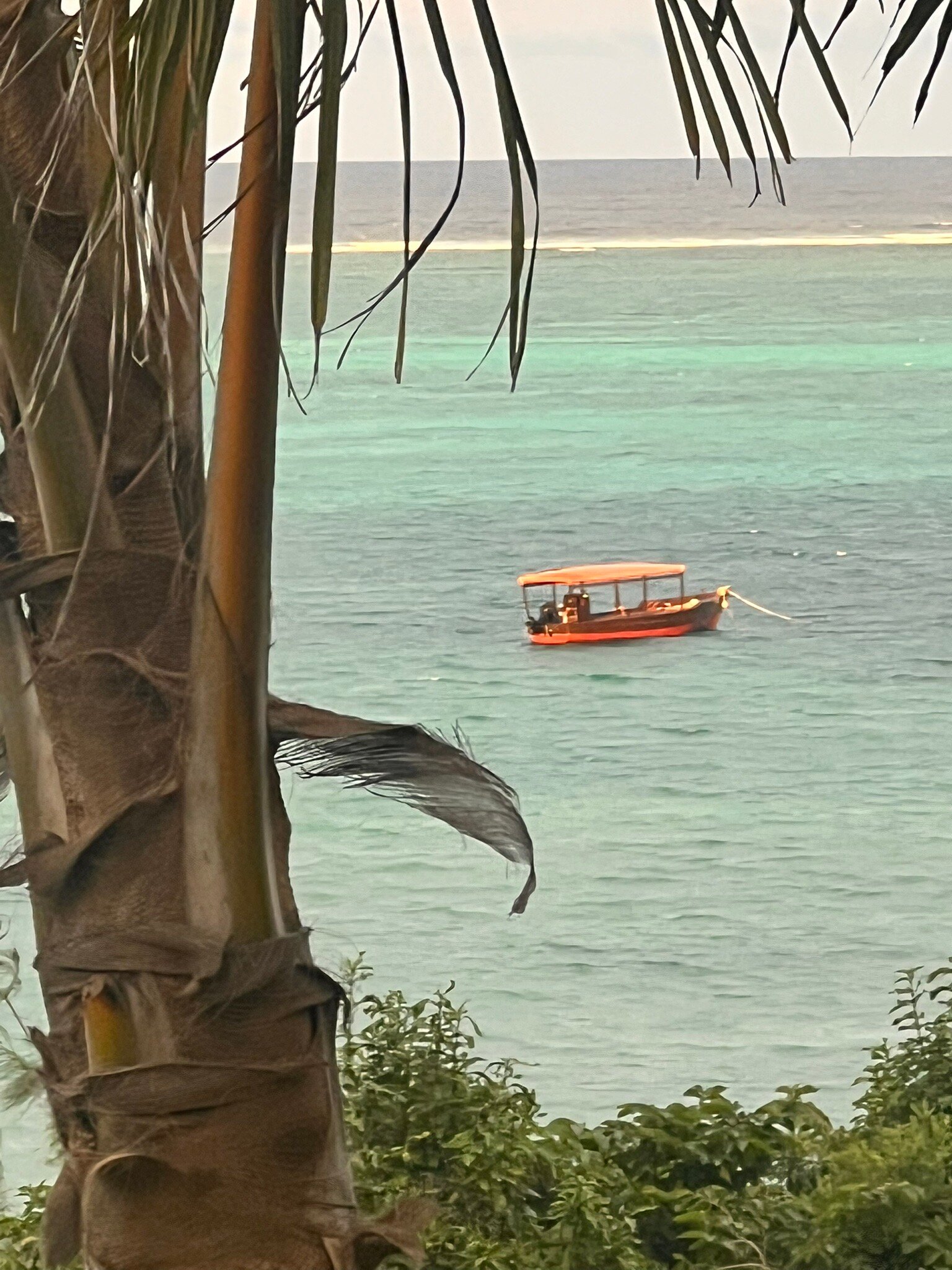 Zawadi Hotel Zanzibar-官方