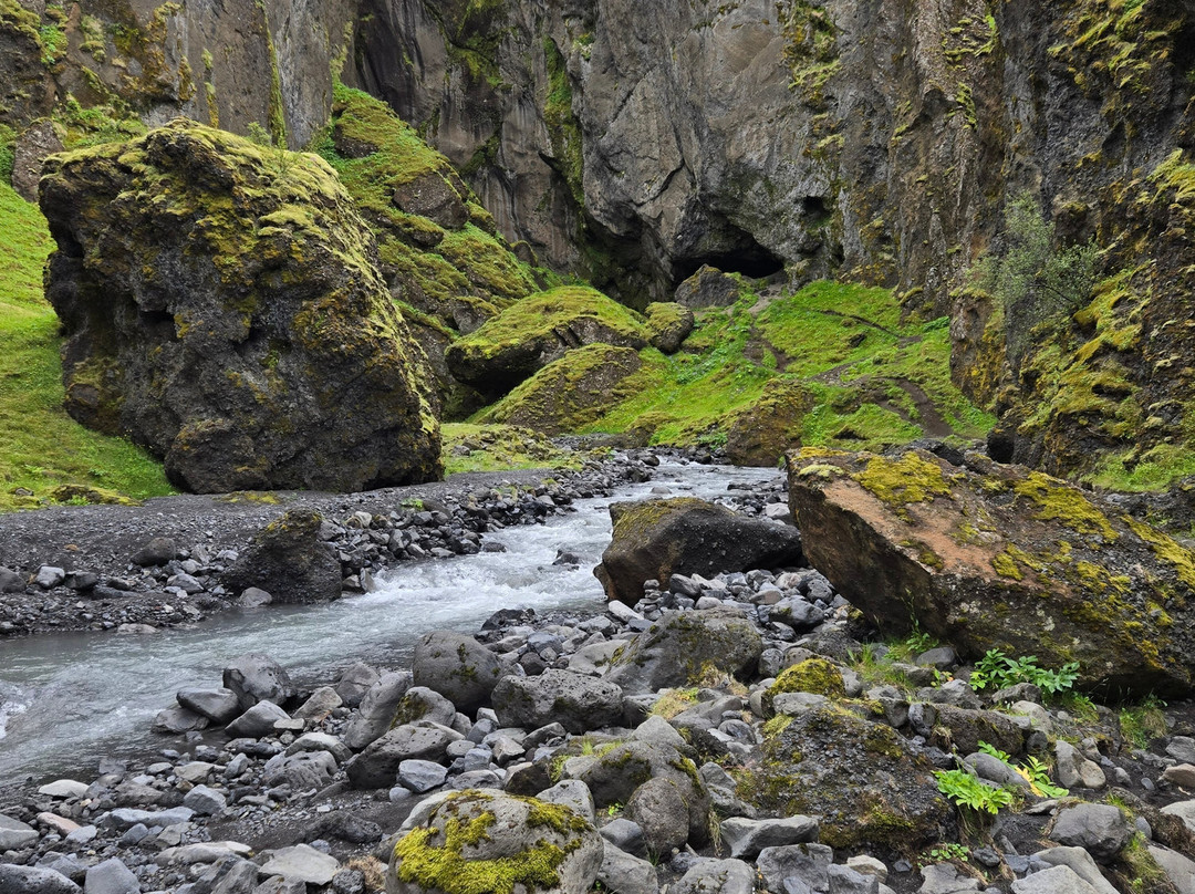 Into The Wild-科帕伏古必去景点