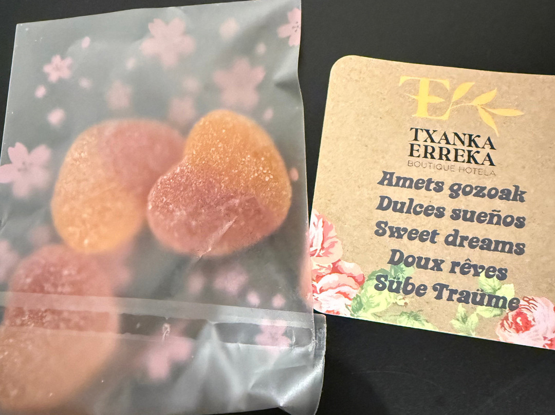 Hotel Txanka Erreka主图