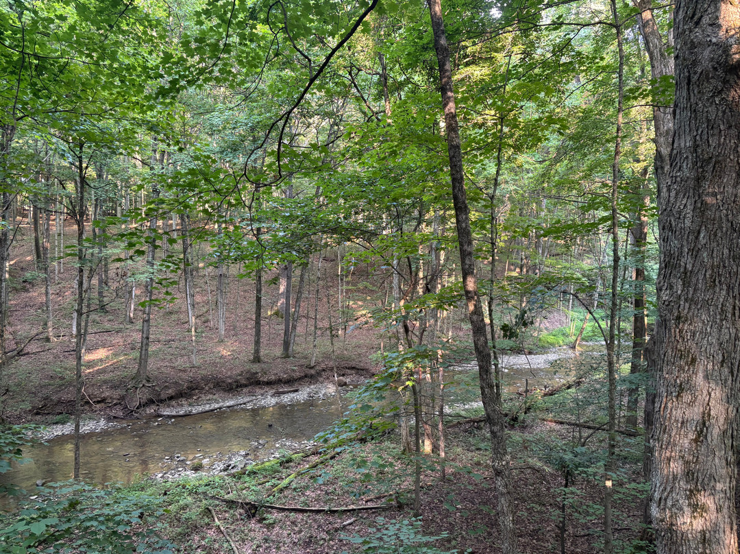 Shale Hollow Park-Lewis Center必去景点