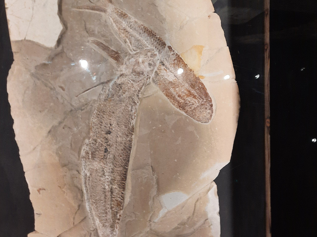 Memory of Time-朱拜勒必去景点