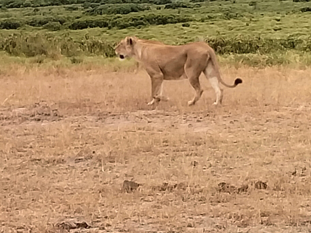 VALLEY ROCKS TOURS-内罗毕必去景点