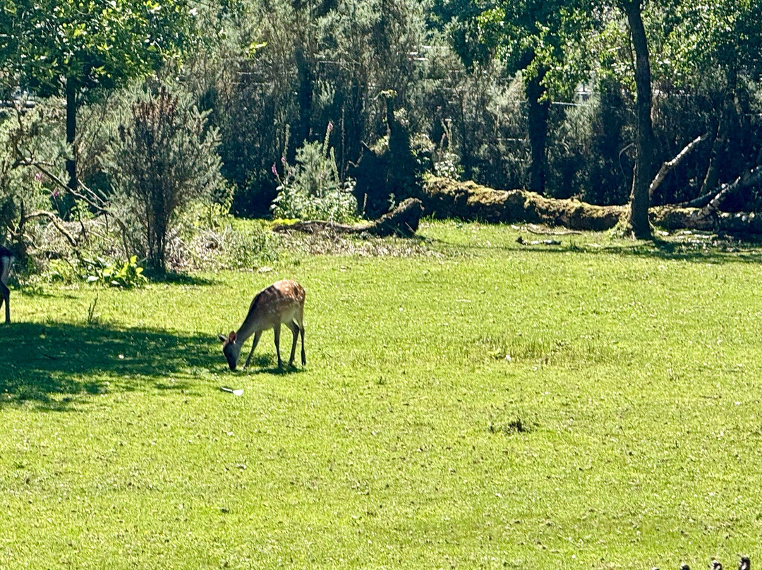 Killarney Riding Stables-基拉尼必去景点