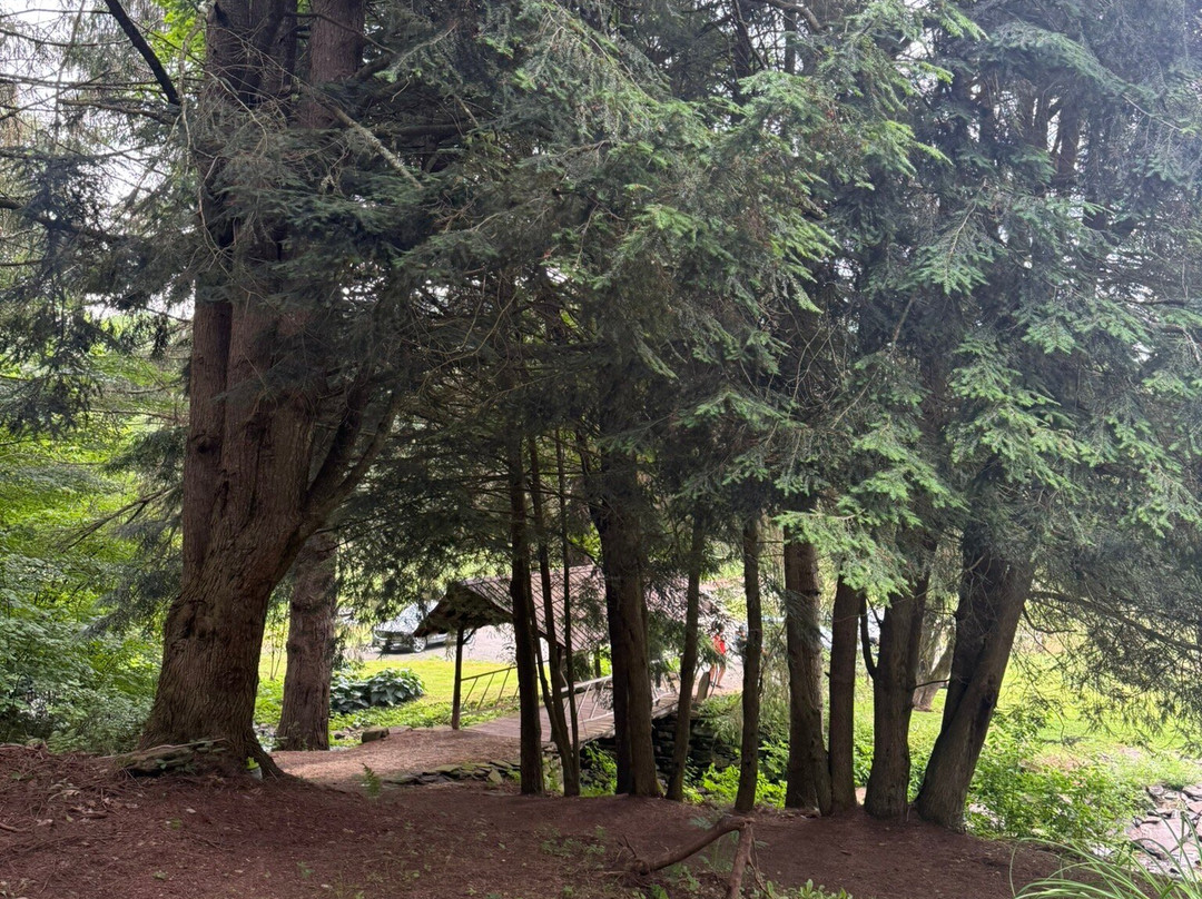 The Mountain Brook Inn主图