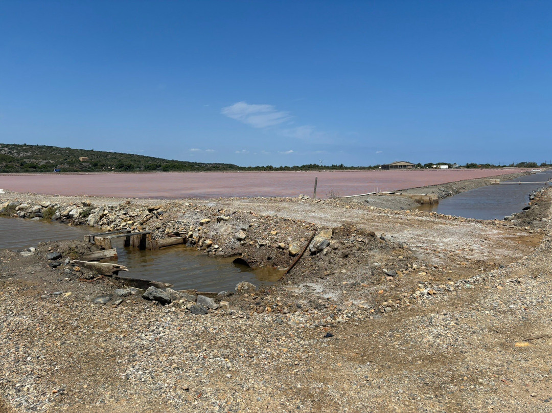 Salin de la Palme-La Palme必去景点