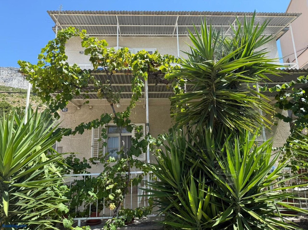 Guesthouse Mira主图