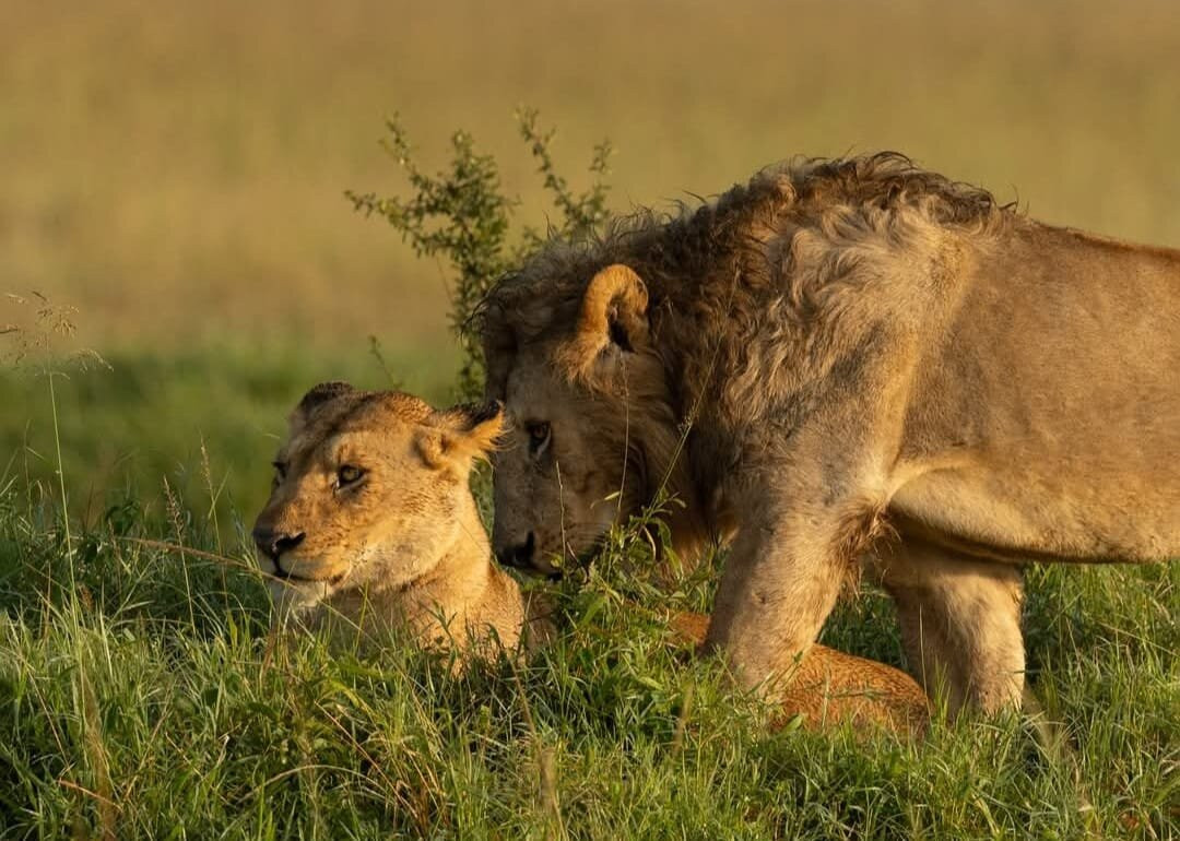 Totti Kenya-安博塞利国家公园必去景点