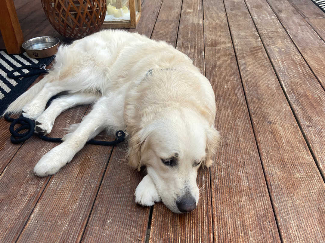 丽都怡东水疗酒店主图