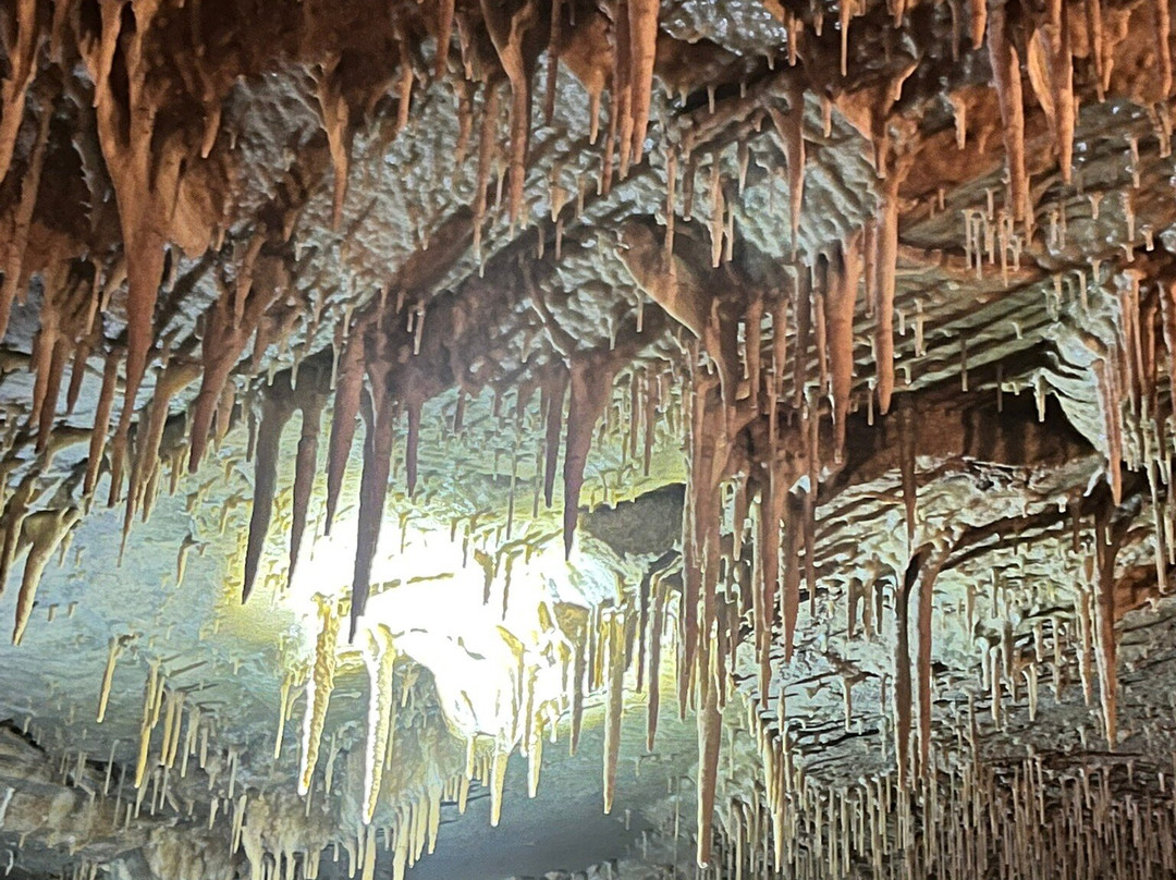 Grottes de Cougnac-Payrignac必去景点