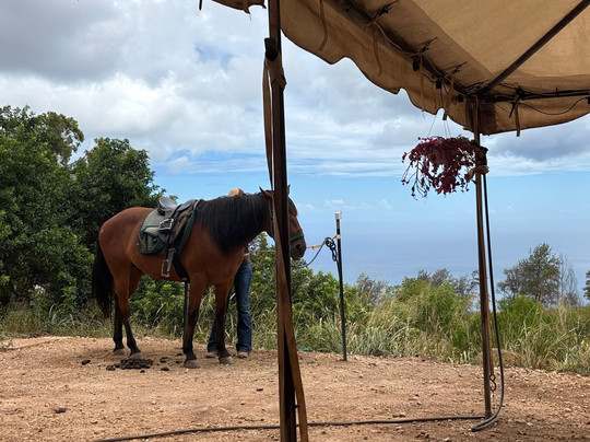 Pālehua Trail Rides-考普雷必去景点