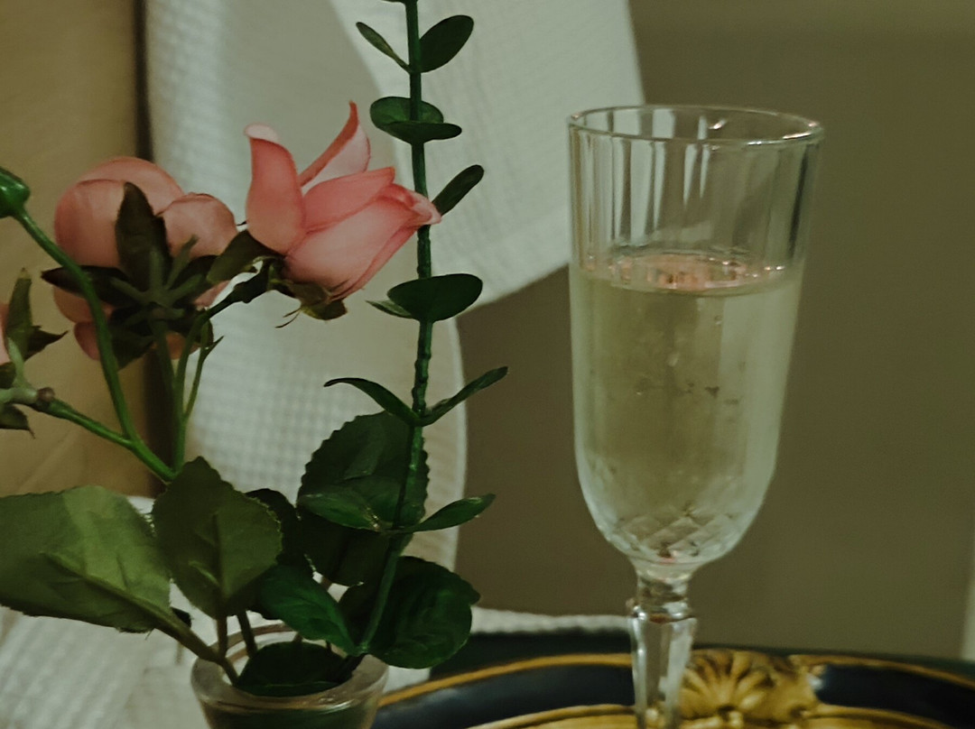 Blanc Spa-巴西利亚必去景点