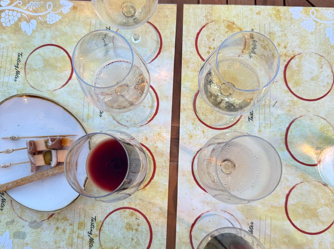 Wine Museum Dubrovnik-杜布罗夫尼克必去景点