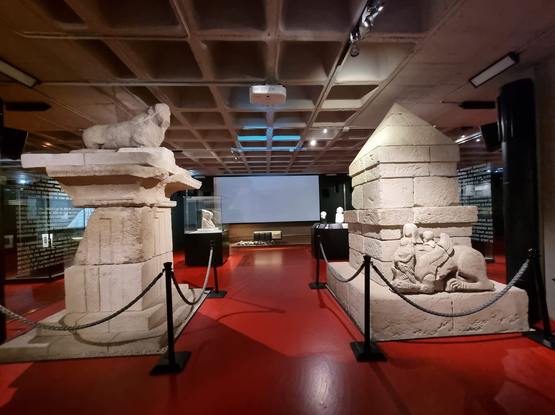 Museo Paleontologico de Elche-埃尔切必去景点