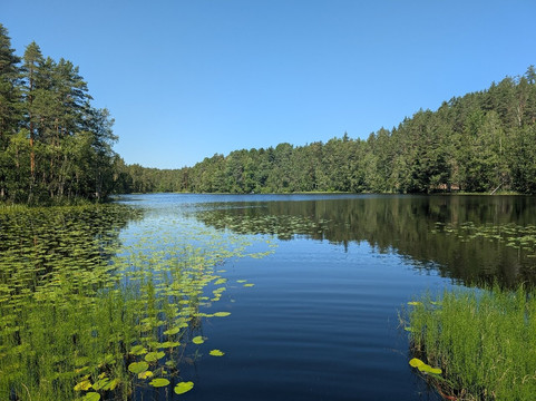 Elev8 Nature Experiences – Nuuksio Tours From Central Helsinki-赫尔辛基必去景点