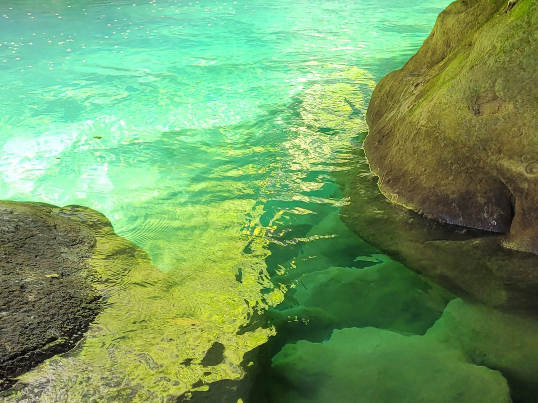 Pont des Tuves-Montauroux必去景点