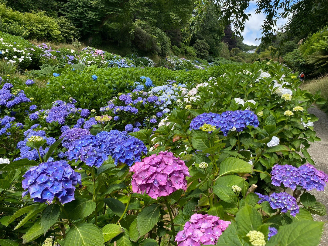 King Harry Ferry-Feock必去景点