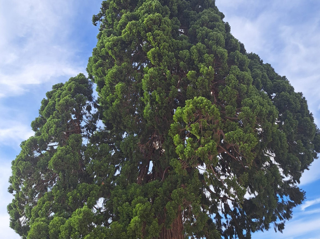 Monastery of Santo Domingo de Silos-Santo Domingo de Silos必去景点