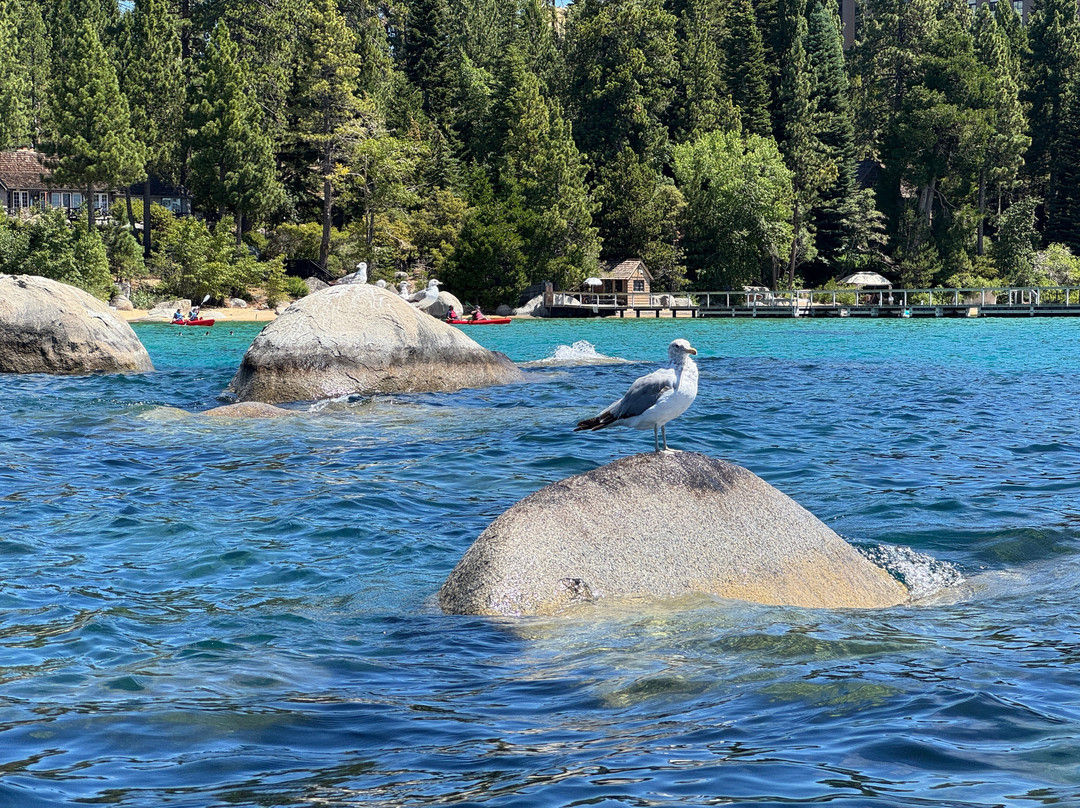 North Tahoe Paddle-塔霍维斯塔必去景点